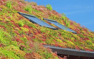 Welton Hill living roof systems