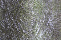 Welton Hill fibreglass roof work